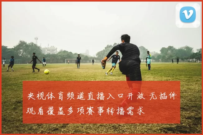 央视体育频道直播入口开放 无插件观看覆盖多项赛事转播需求