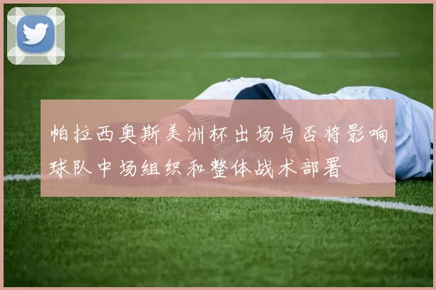 帕拉西奥斯美洲杯出场与否将影响球队中场组织和整体战术部署